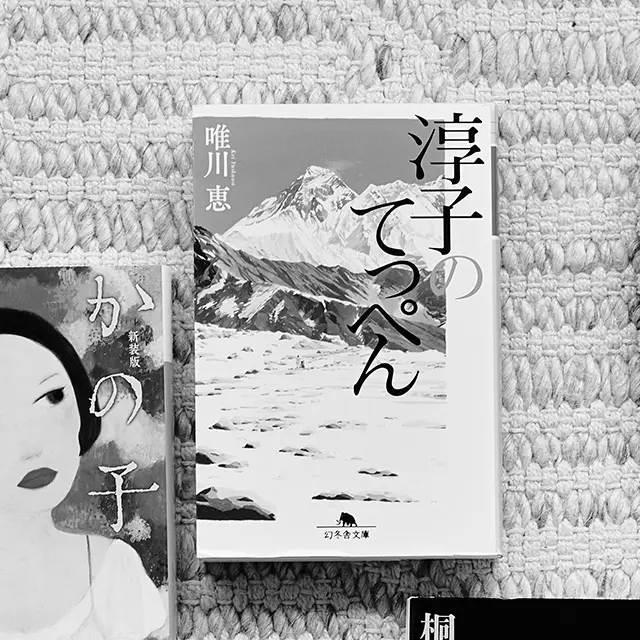 「田部井淳子」の評伝小説