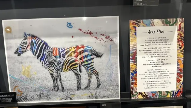 大好きなアートフォト作品に囲まれて、至福の画像_4