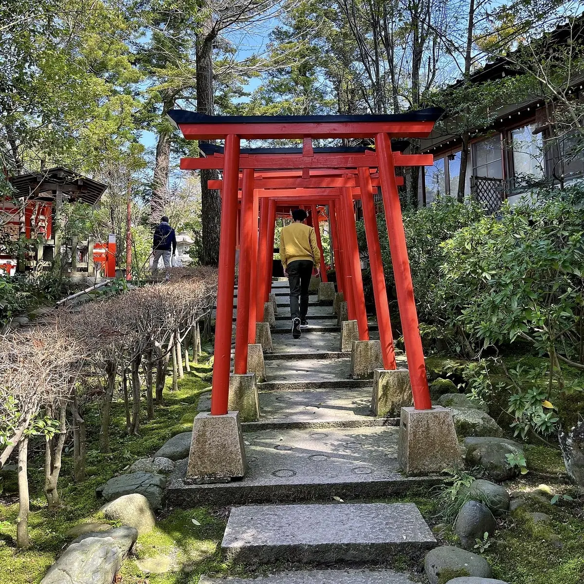 金沢旅①神社・建築巡り&兼六園の画像_5