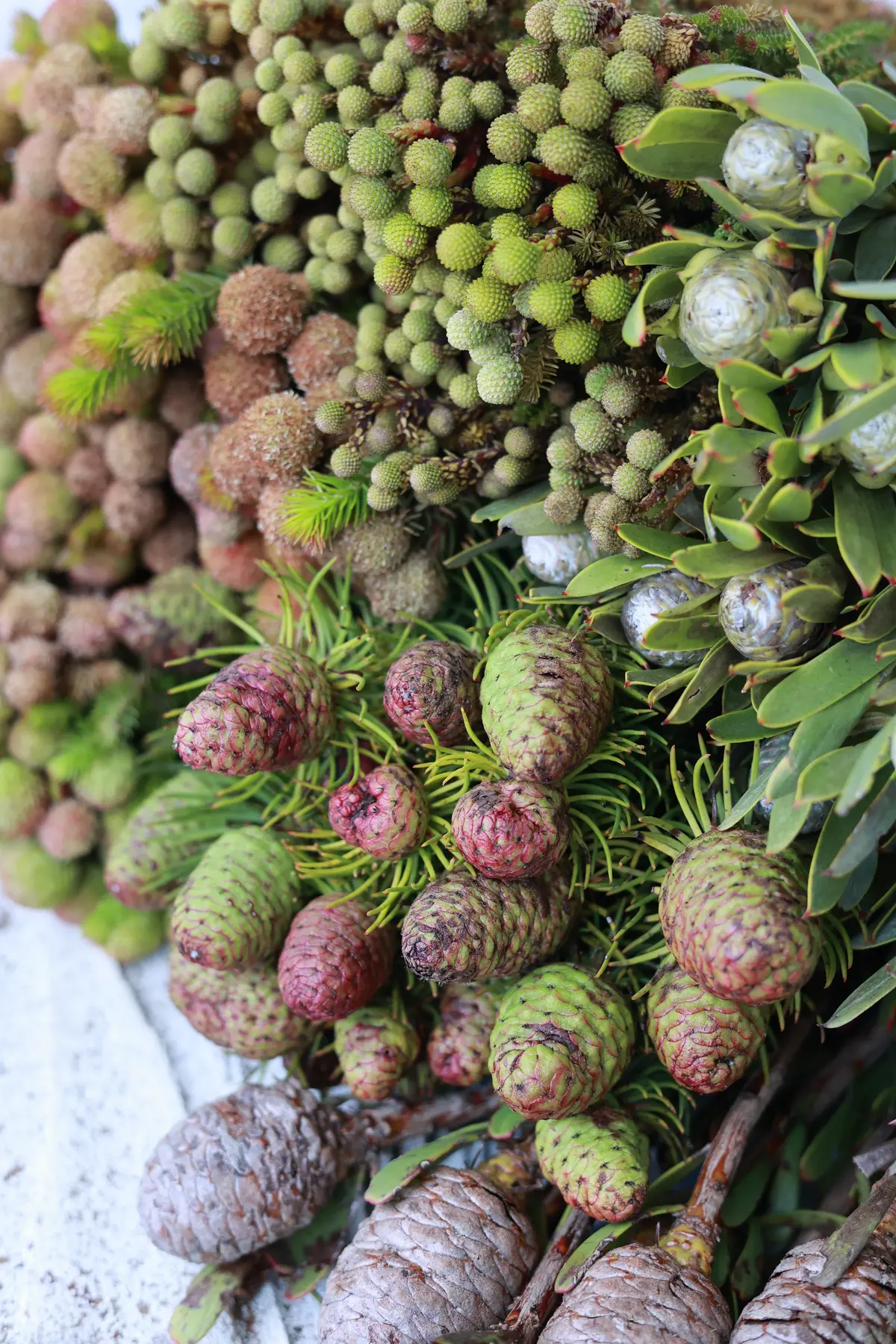 ネイティブフラワー