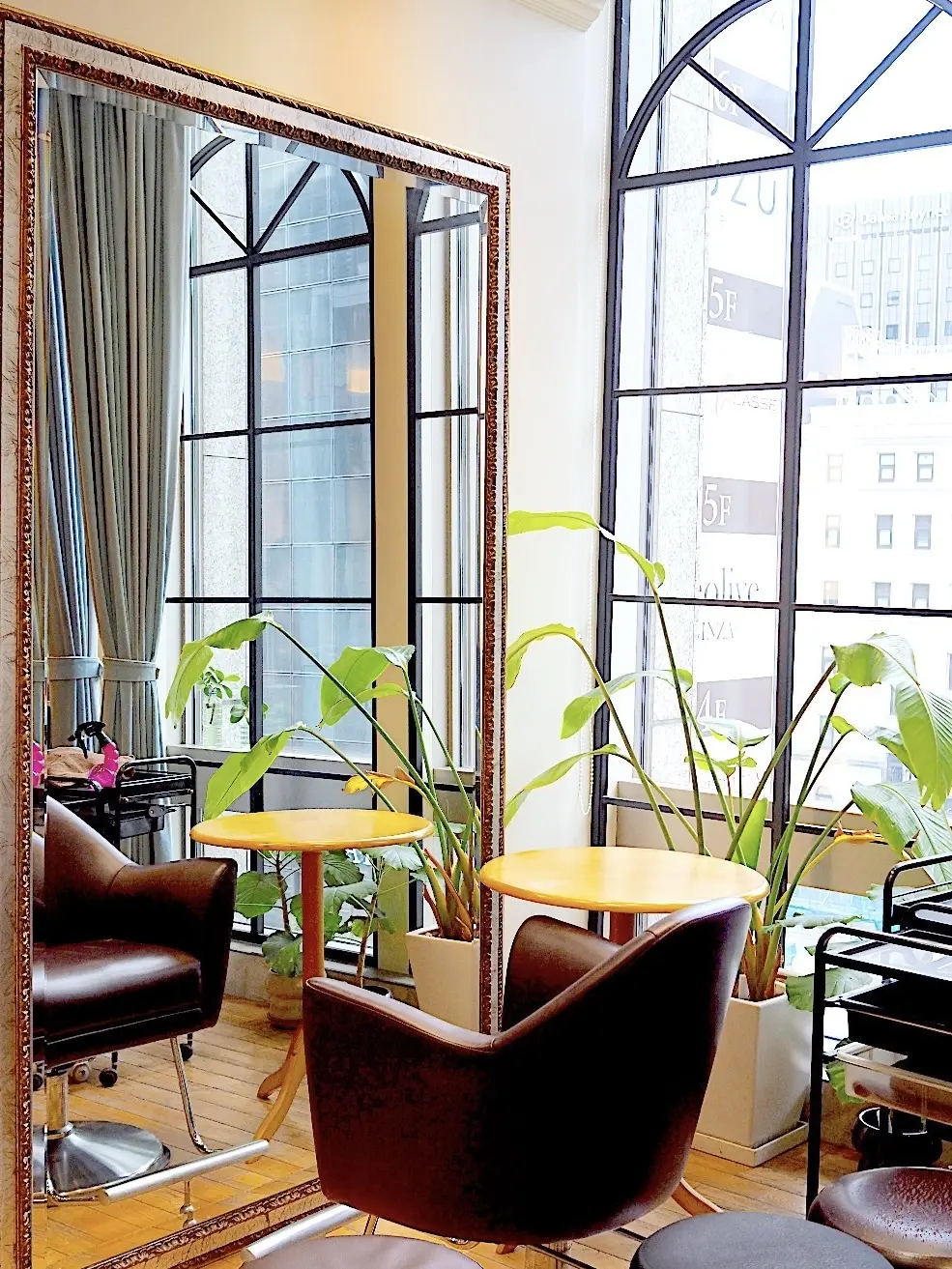 BEAUTRIUM（ビュートリアム）265