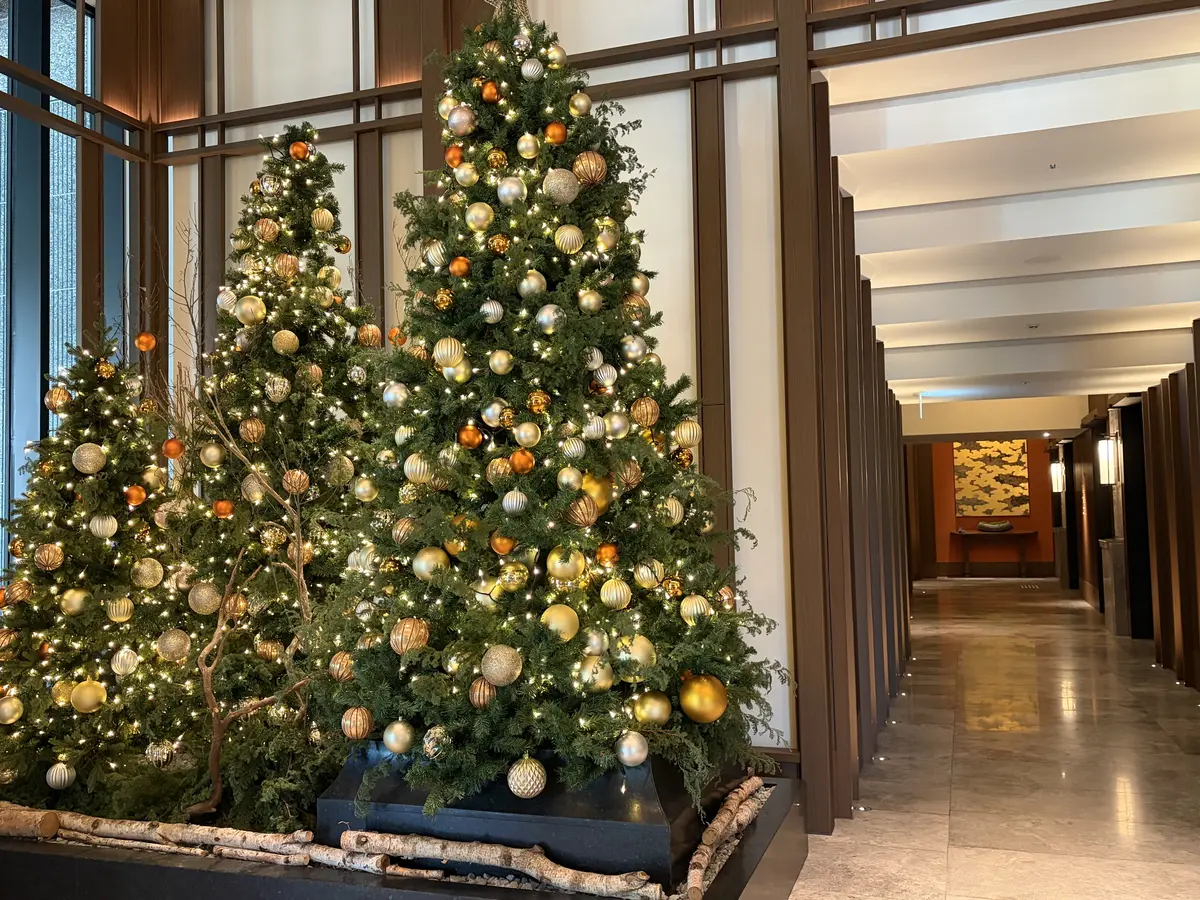 【有馬温泉】母と姉妹の温泉旅　冬編Dayの画像_11