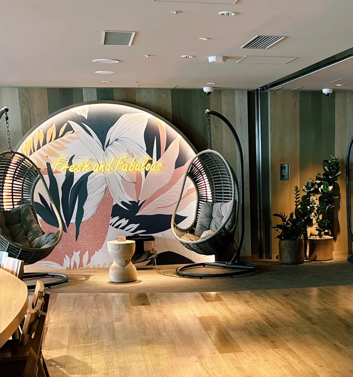 天空の IBASHO！大人も子供も居心地の画像_1