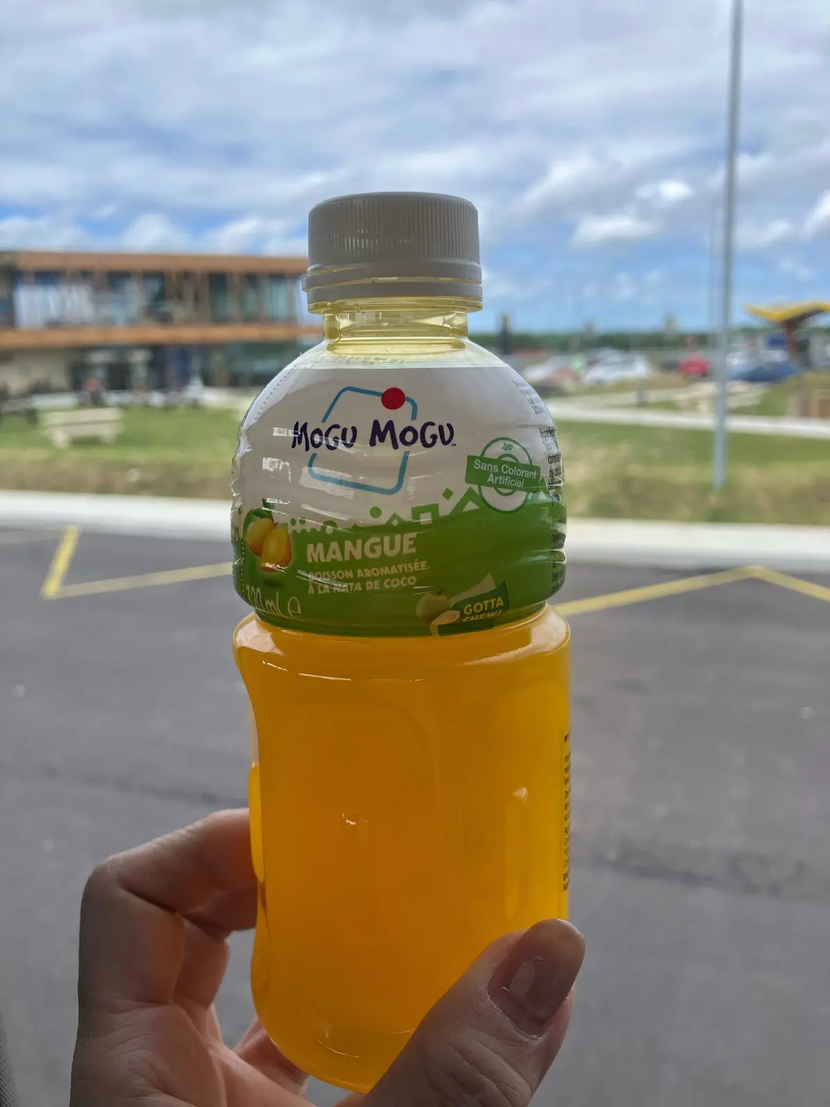 フランス　女子旅　モン・サン・ミシェル　パリ　カフェ　世界遺産　 cafe opera  amorino  モン・サン・ミシェルのオムレツ　ル　ルレサンミシェルホテル　パリ旅行　フランス旅行