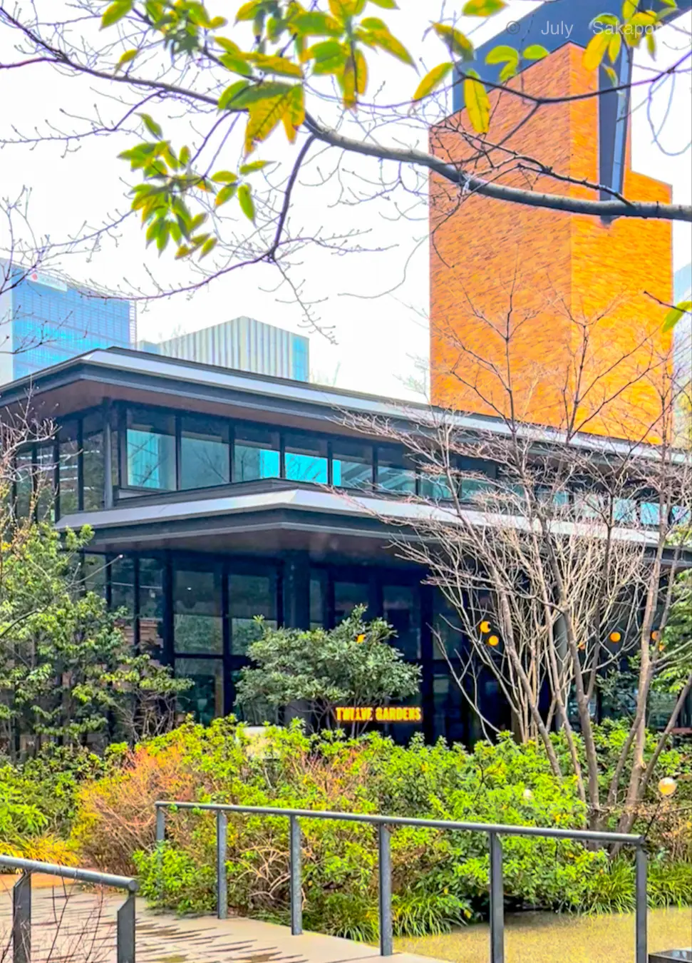 【赤坂ランチ】一軒家・邸宅で絶品イタリアの画像_6