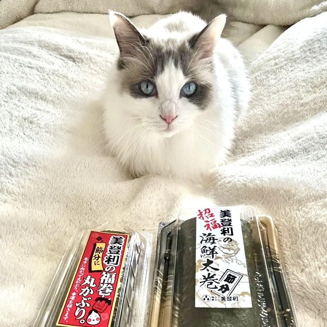2種類の恵方巻きと猫様(上の子)