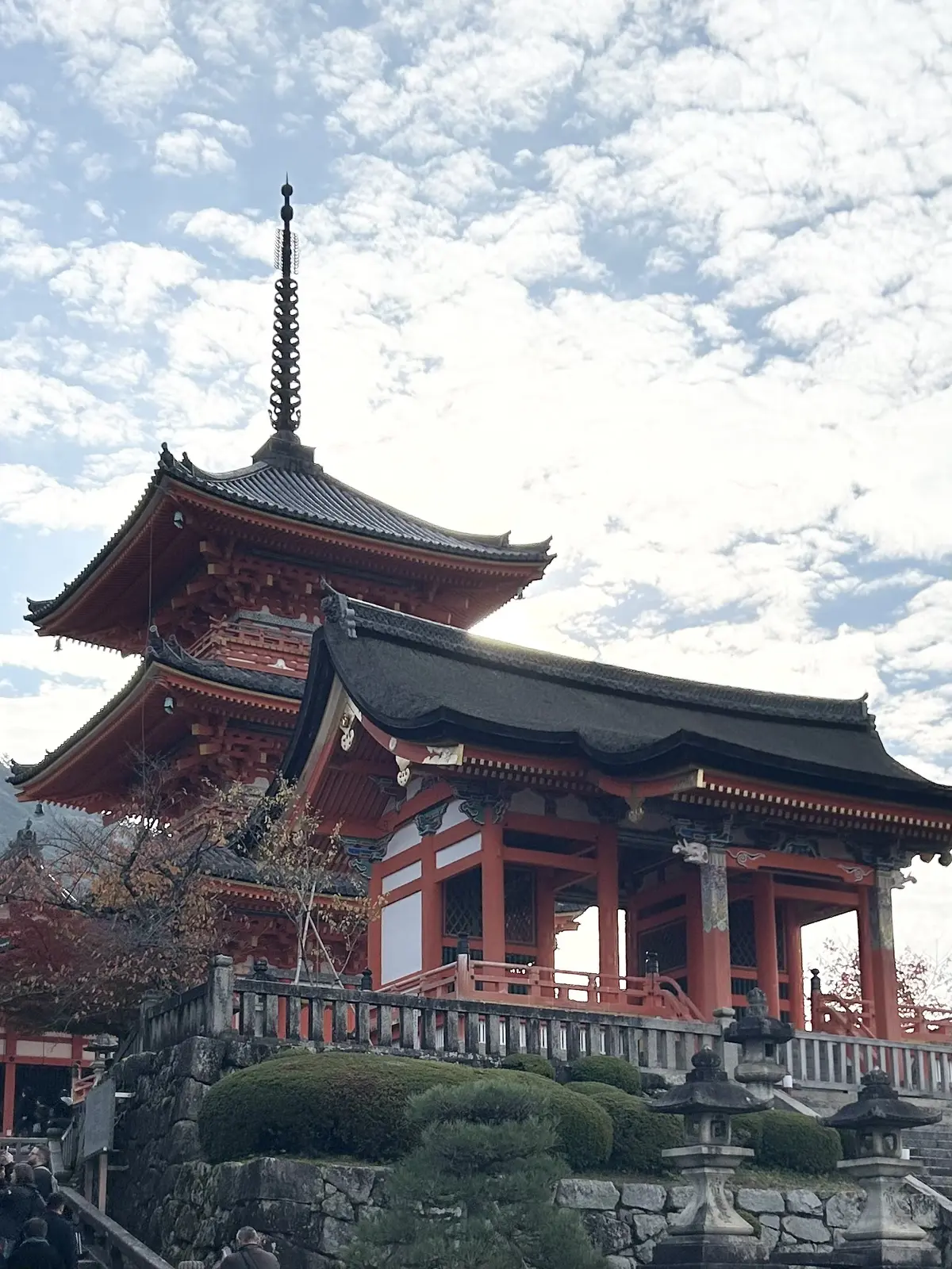 「そうだ京都、行こう。」🍂✨の画像_3