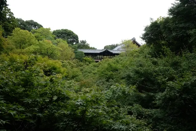 臥雲橋からの眺め