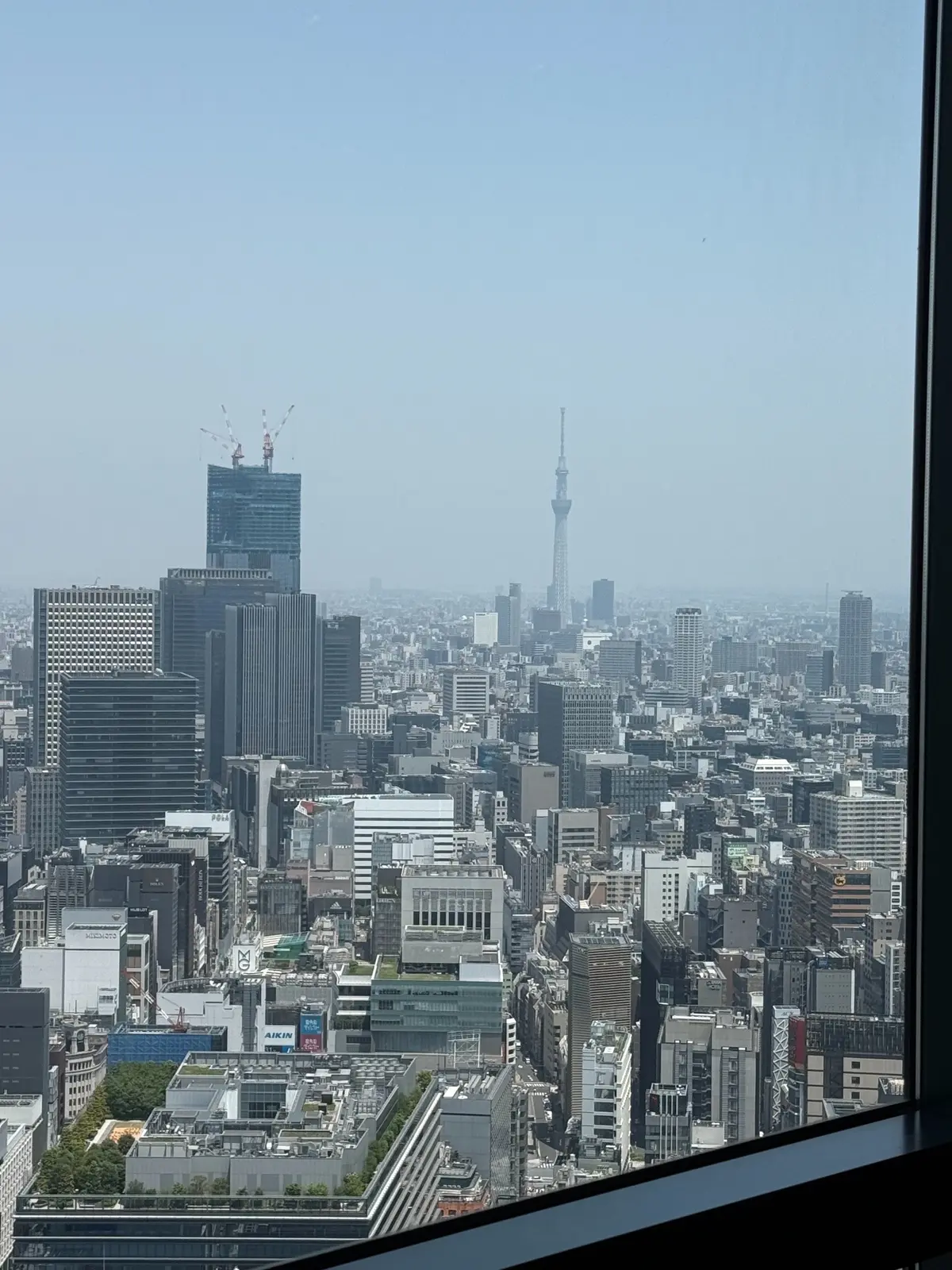 Prime42 steakhouse & sky bar店内からの眺め、スカイツリー