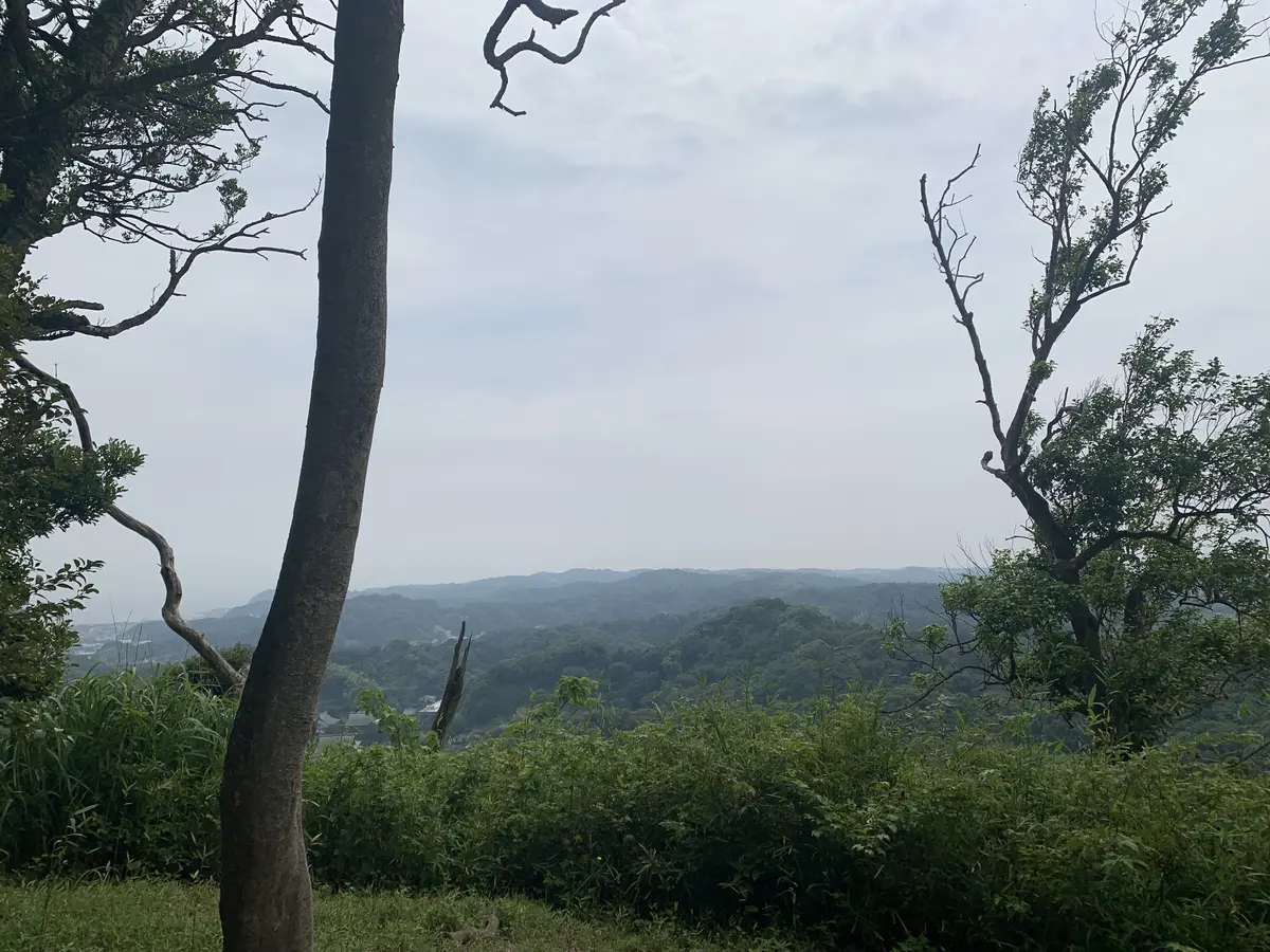 天園ハイキングコース