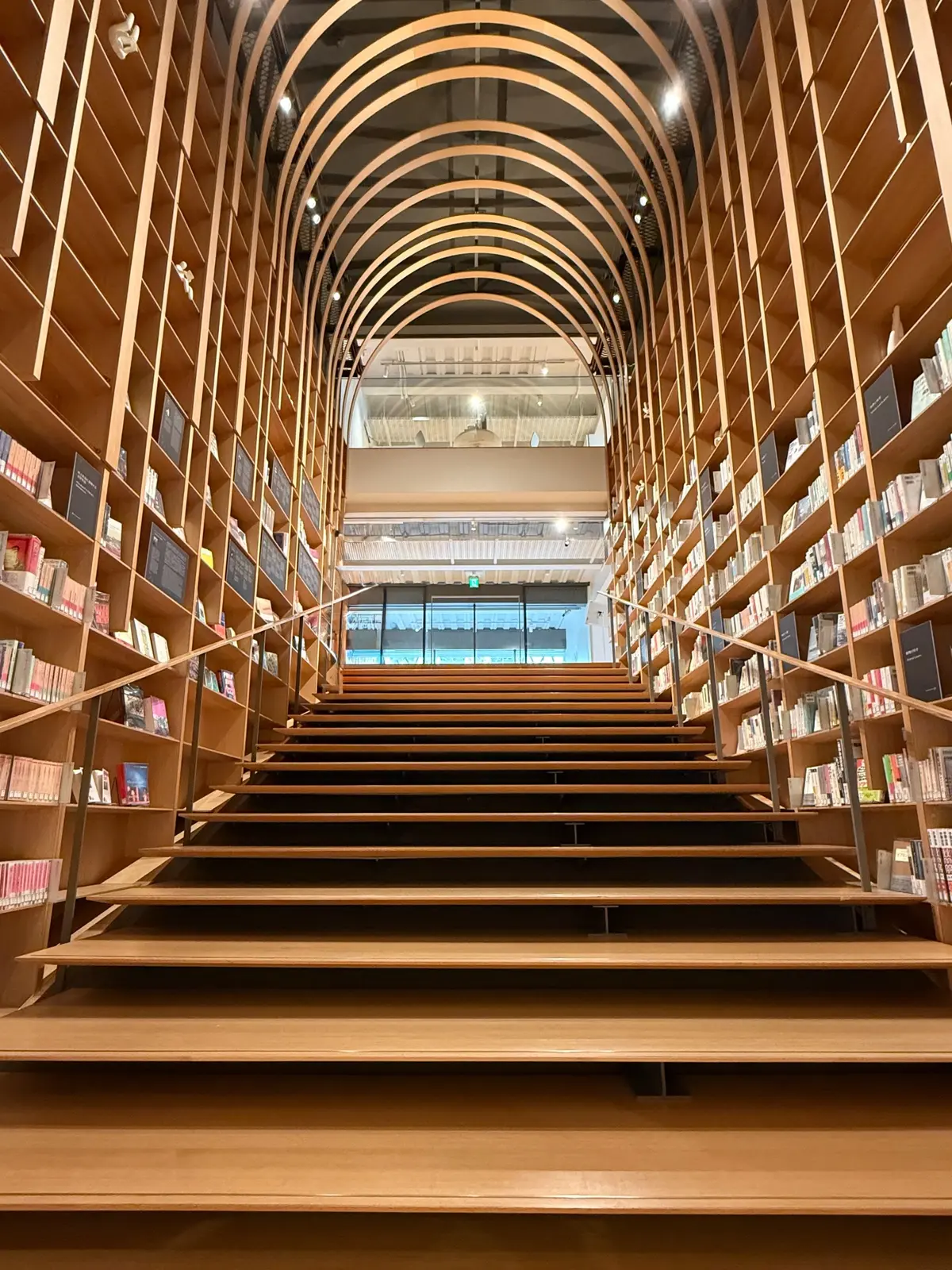 早稲田大学　村上春樹ライブラリー　階段本棚