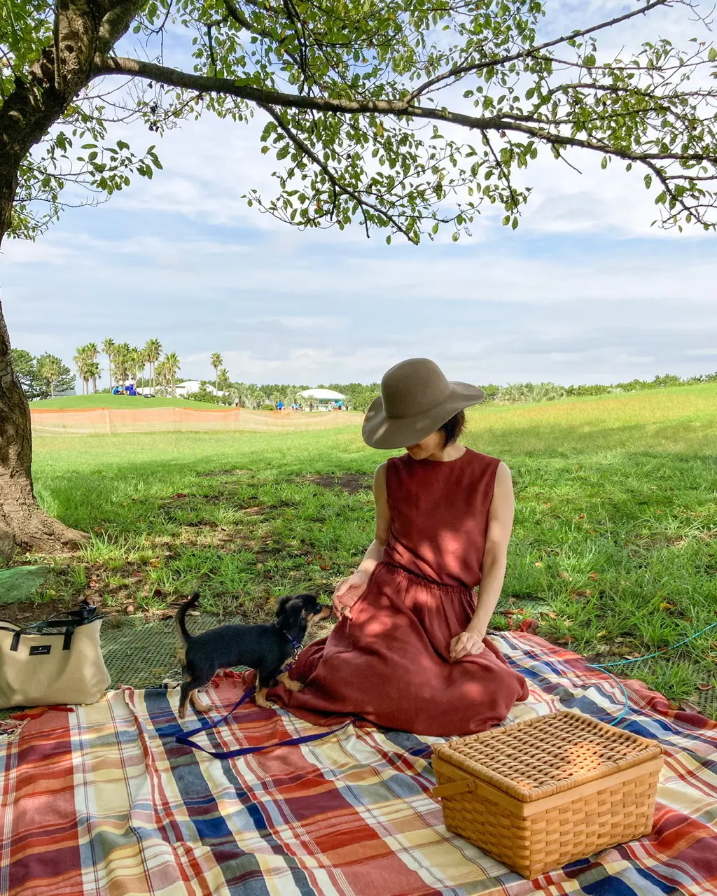 愛犬とピクニック♬の画像_2