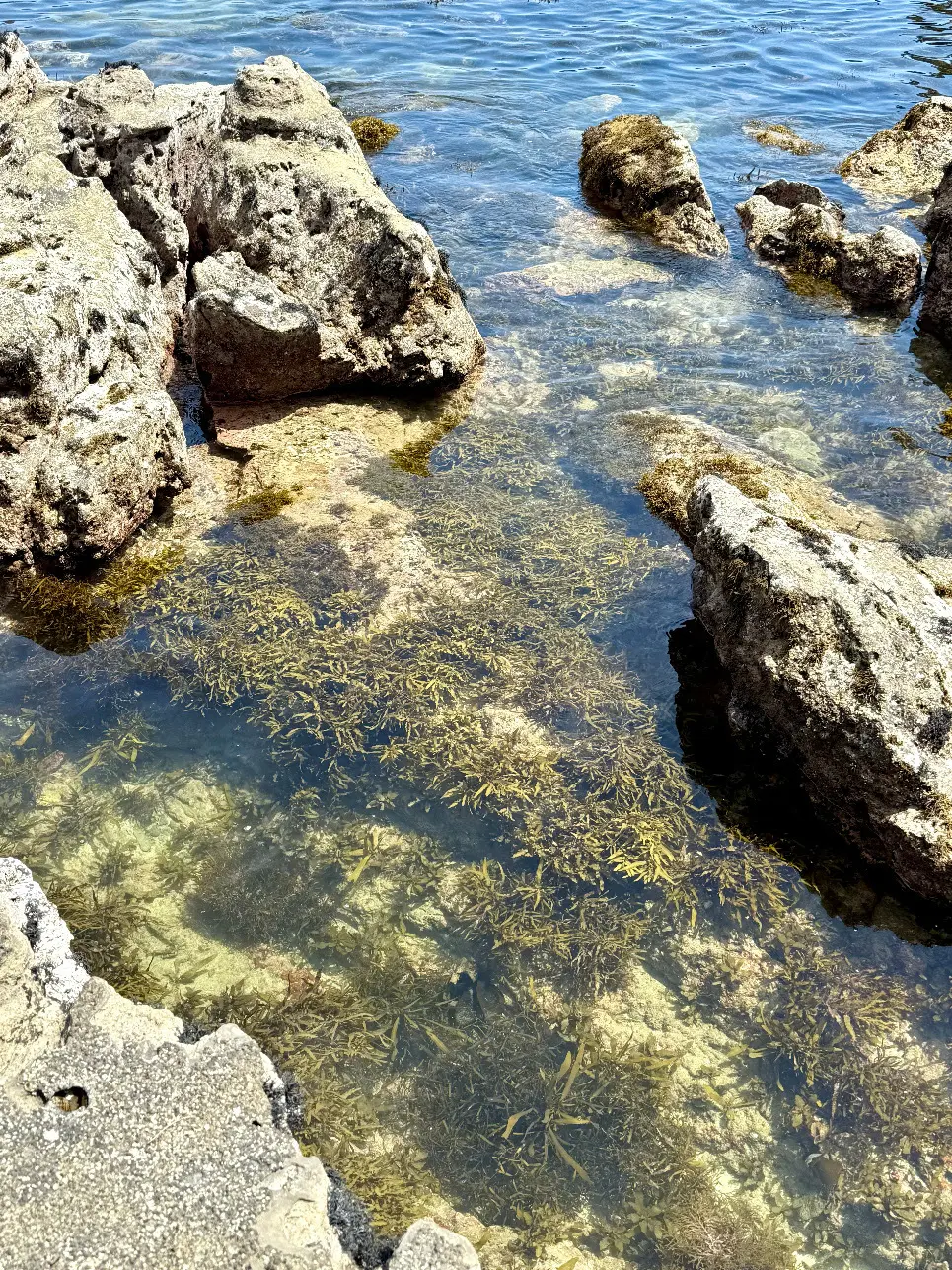 千葉県　観光名所　勝浦市　守谷海岸　岩場　日本の渚100選　透明度の高い水