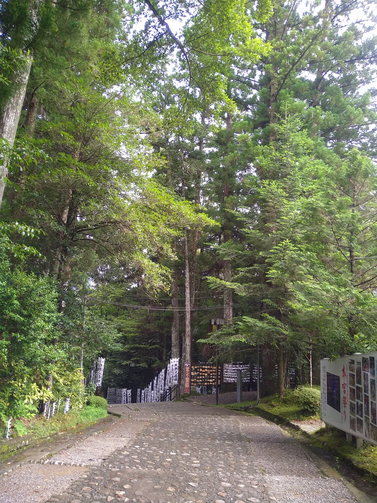 初めての和歌山県!!紀南方面へ2人旅♡～の画像_4