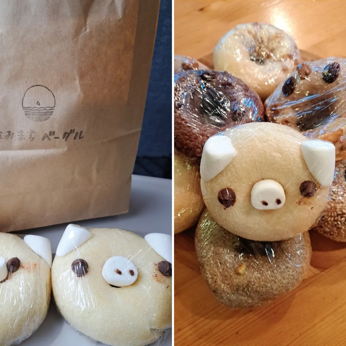 久しぶりの鎌倉 紫陽花鑑賞はお気に入りのの画像_11