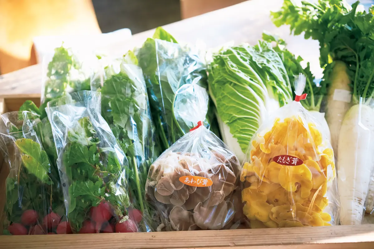 えみぱん、仁平古家具店（益子店）、そば明の画像_5