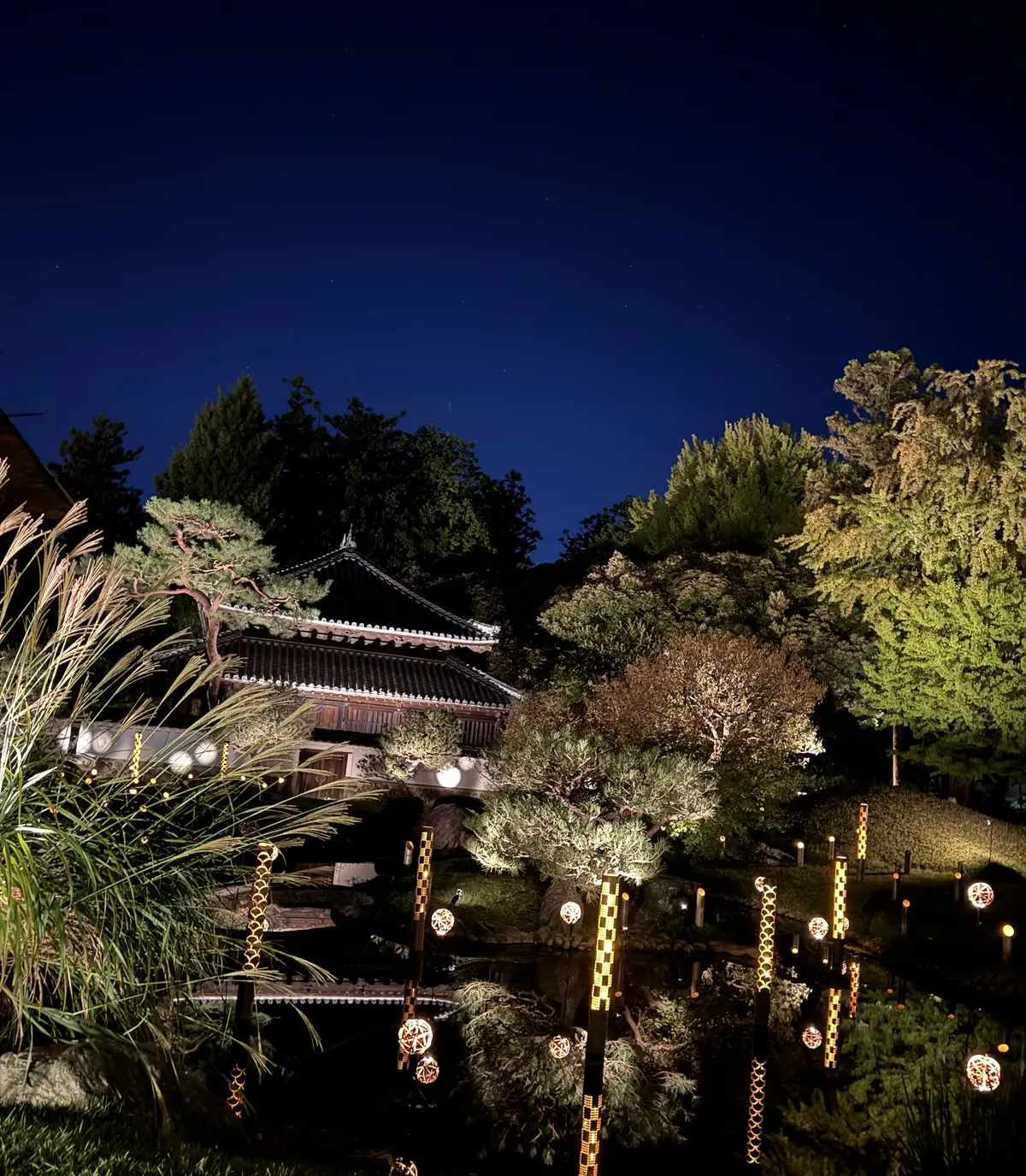 幻想的な雰囲気に包まれた灯りイベントの画像_12