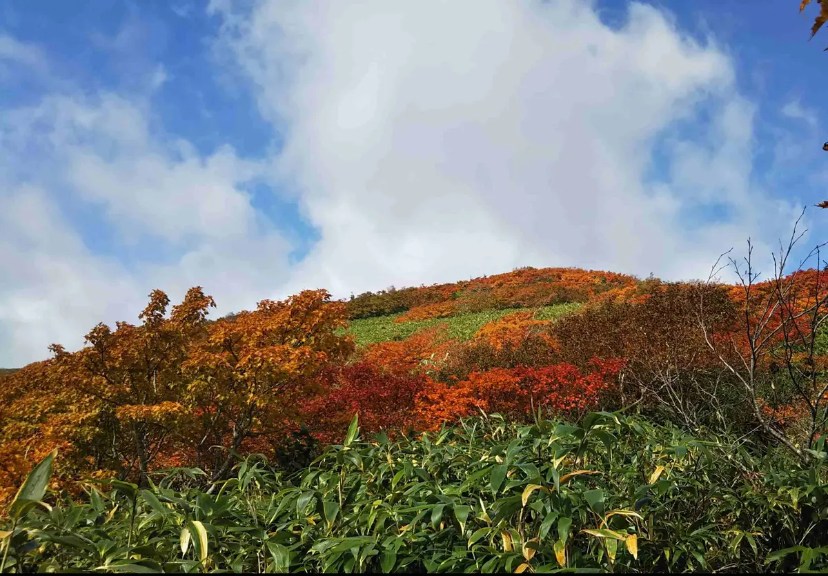 紅葉登山　東北の山々の紅葉始まっています?