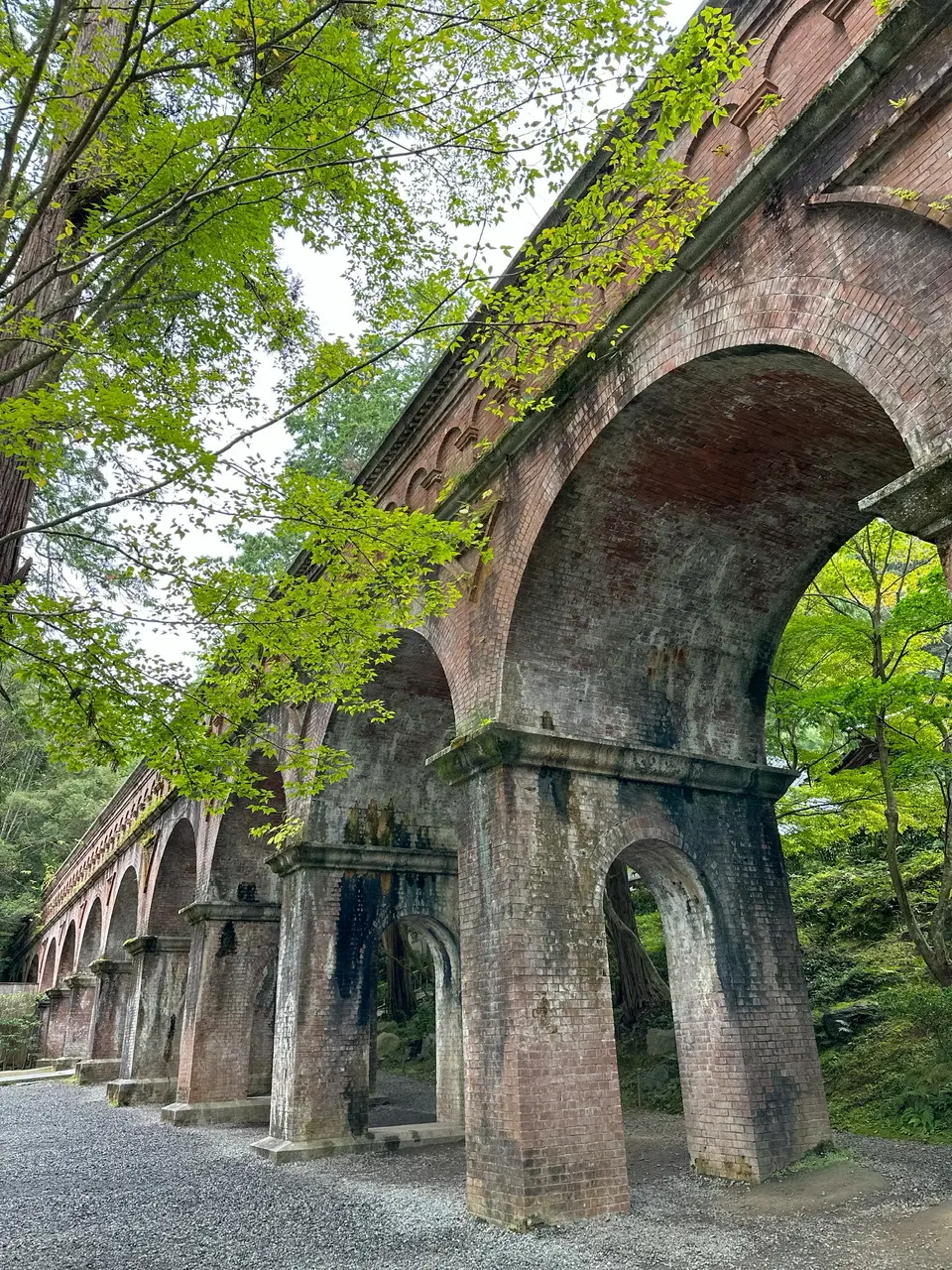 京都でノスタルジックなフォトスポットへ。の画像_4