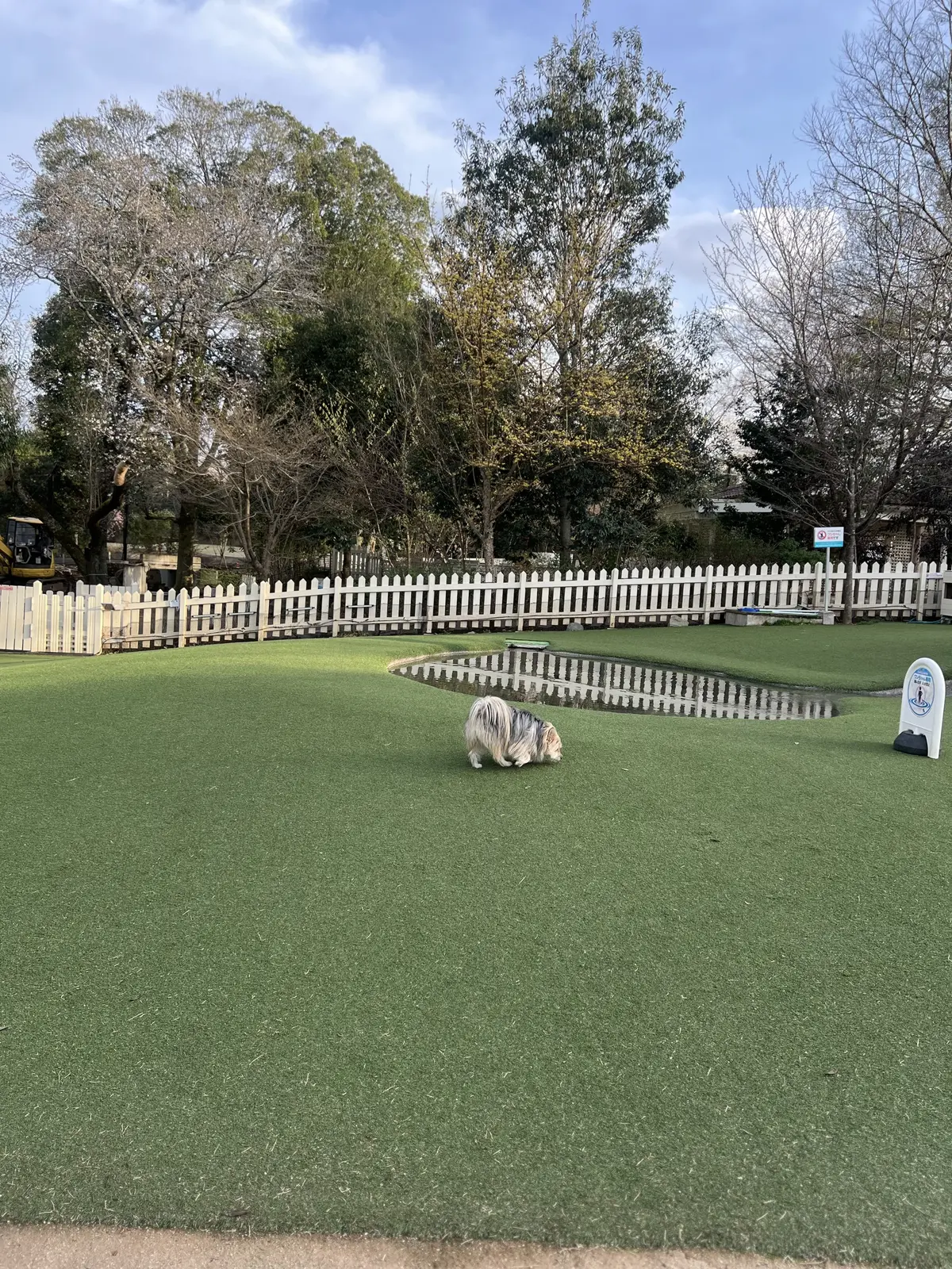 広いドッグラン