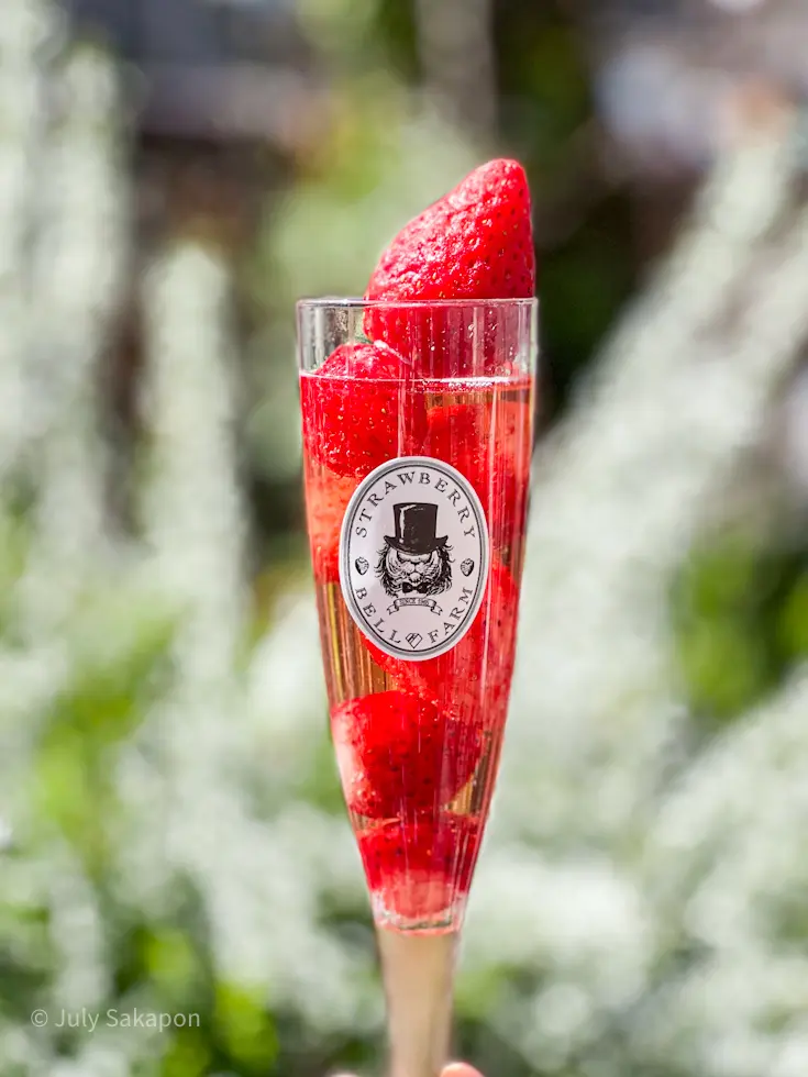 【さかぽんギャラリー】中目黒☆目黒川の桜の画像_4