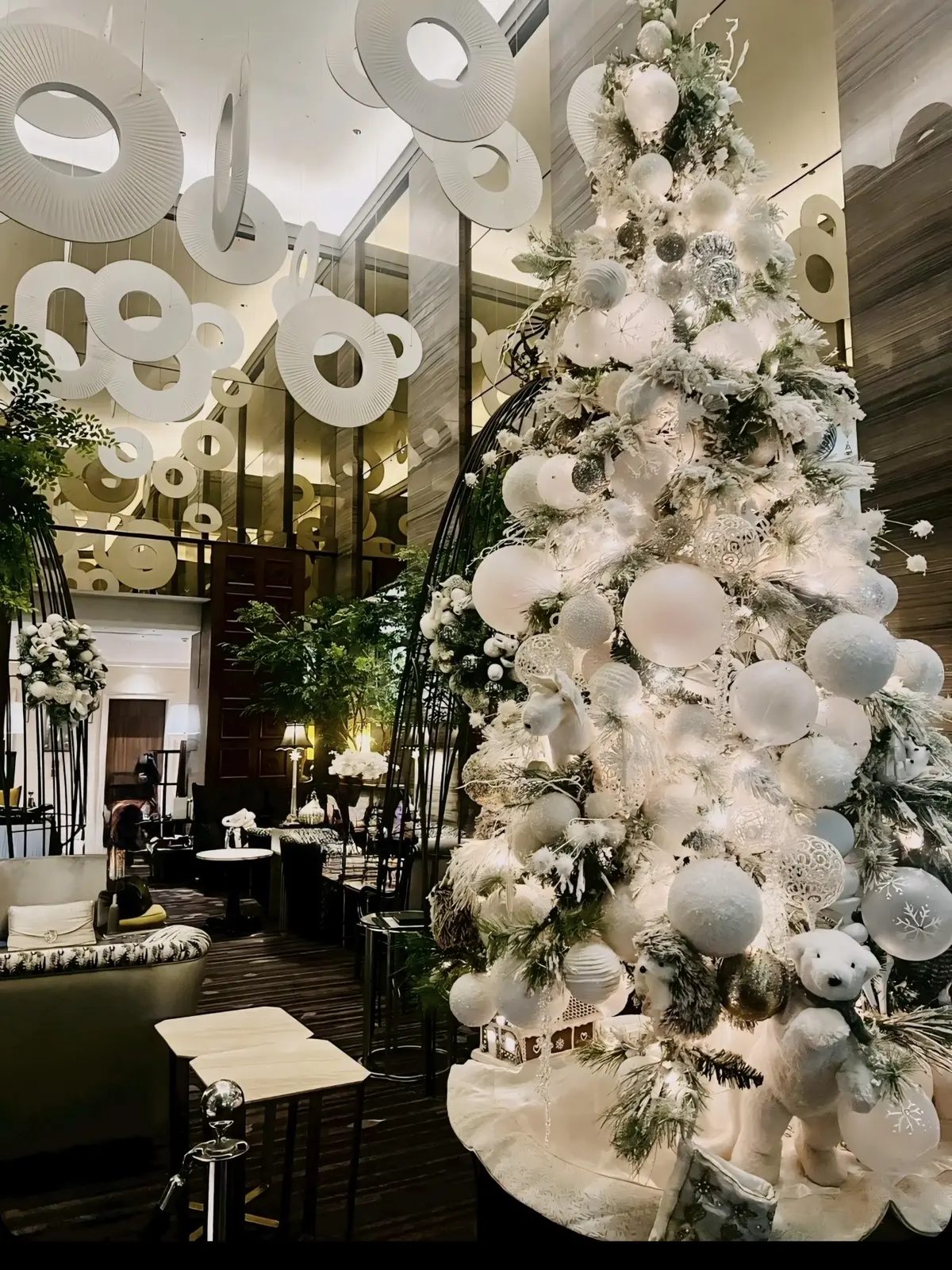 ZelkovA（ゼルコヴァ）