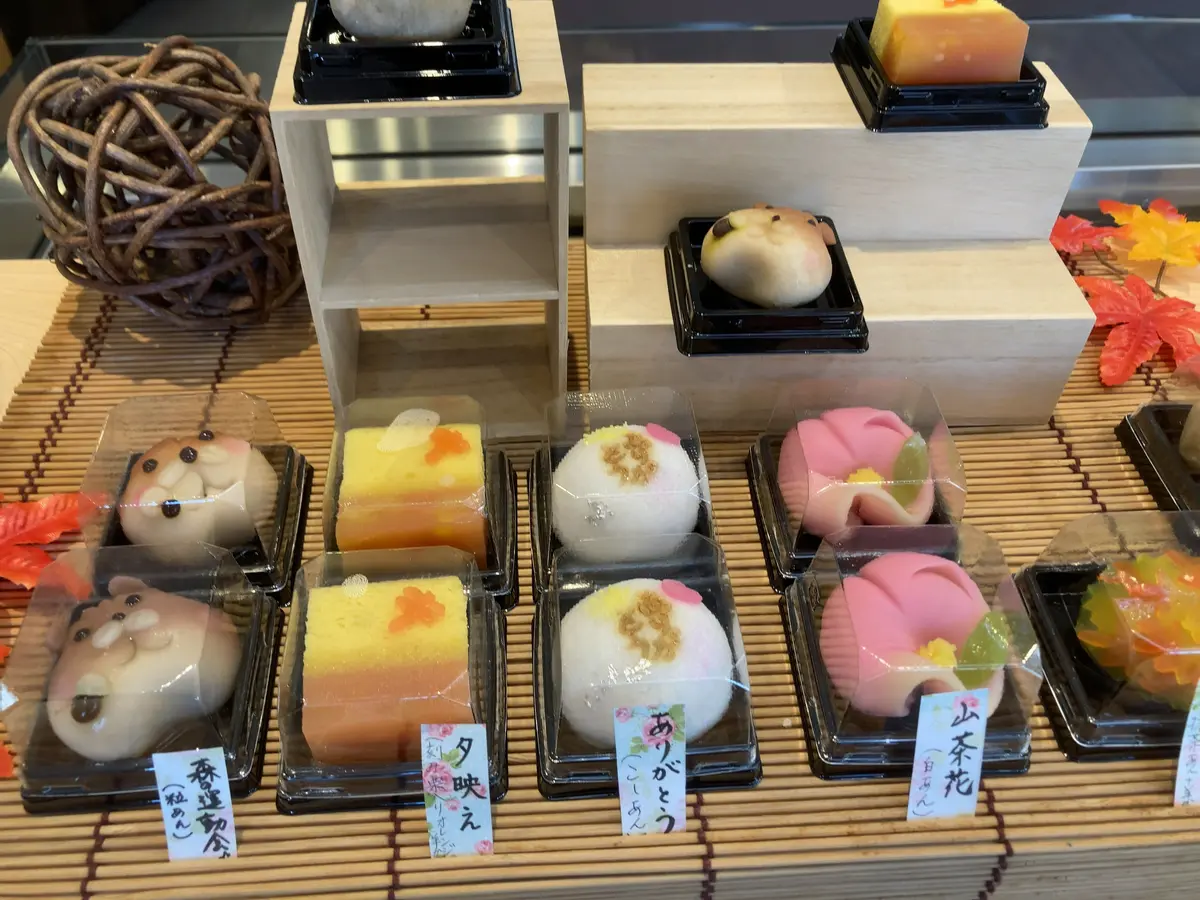 初体験！和菓子バイキング　久しぶりのお出の画像_2