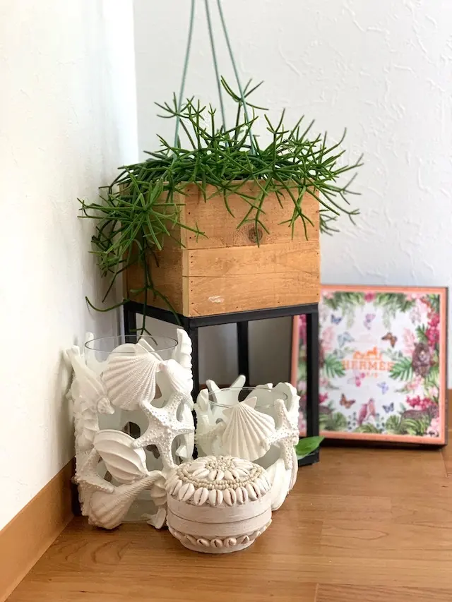 海を眺めながら、インドアグリーンを楽しむの画像_10