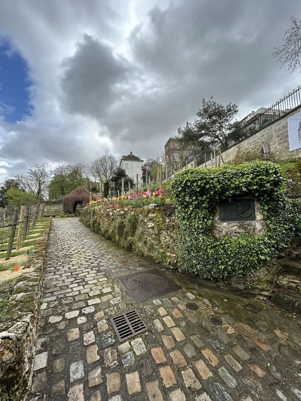 フランス　　葡萄畑　パリ　歩き方