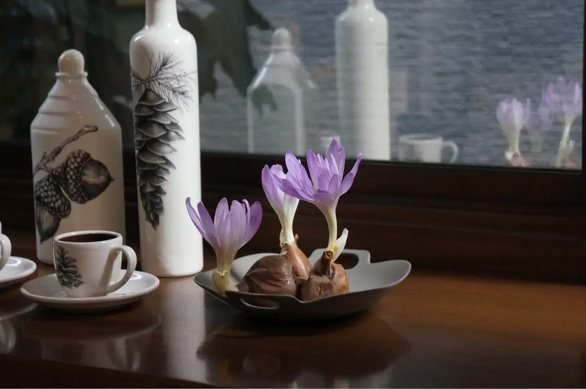 秋のしつらえ色々の画像_2