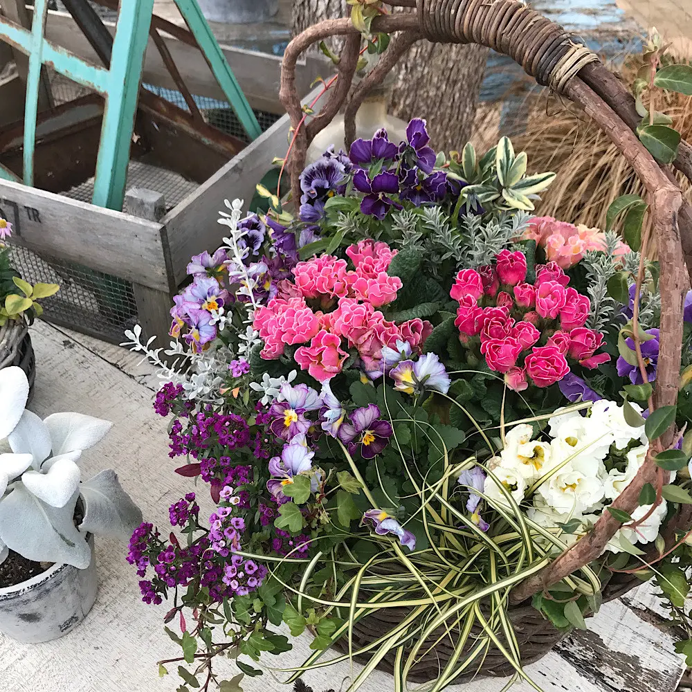 ブルー基調にピンクを指し色に加えた寄せ植え籠