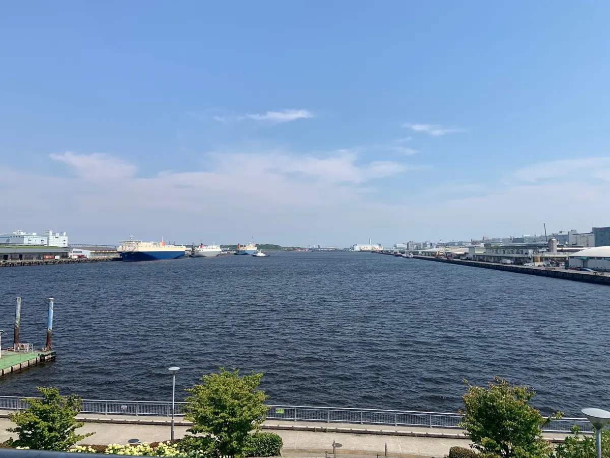 チームラボボーダレス①の画像_3