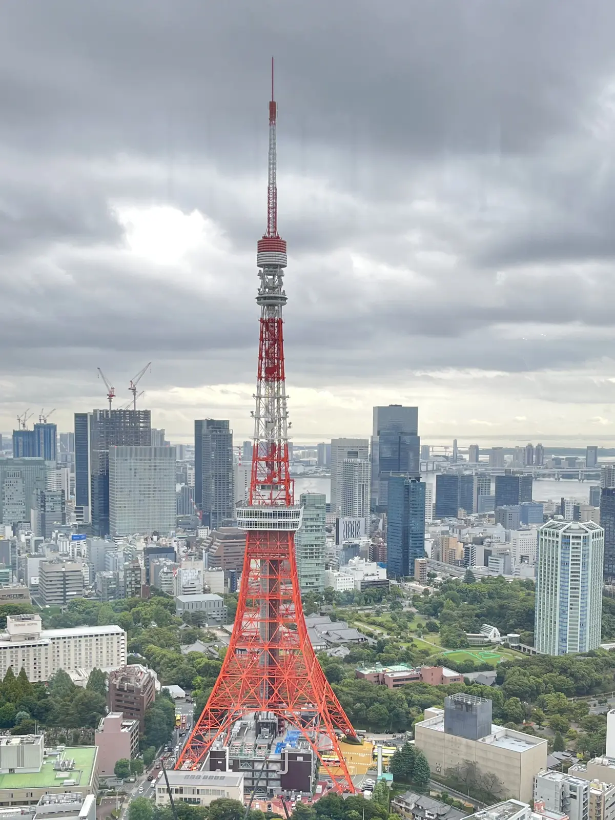 麻布台ヒルズで再会ランチの画像_13