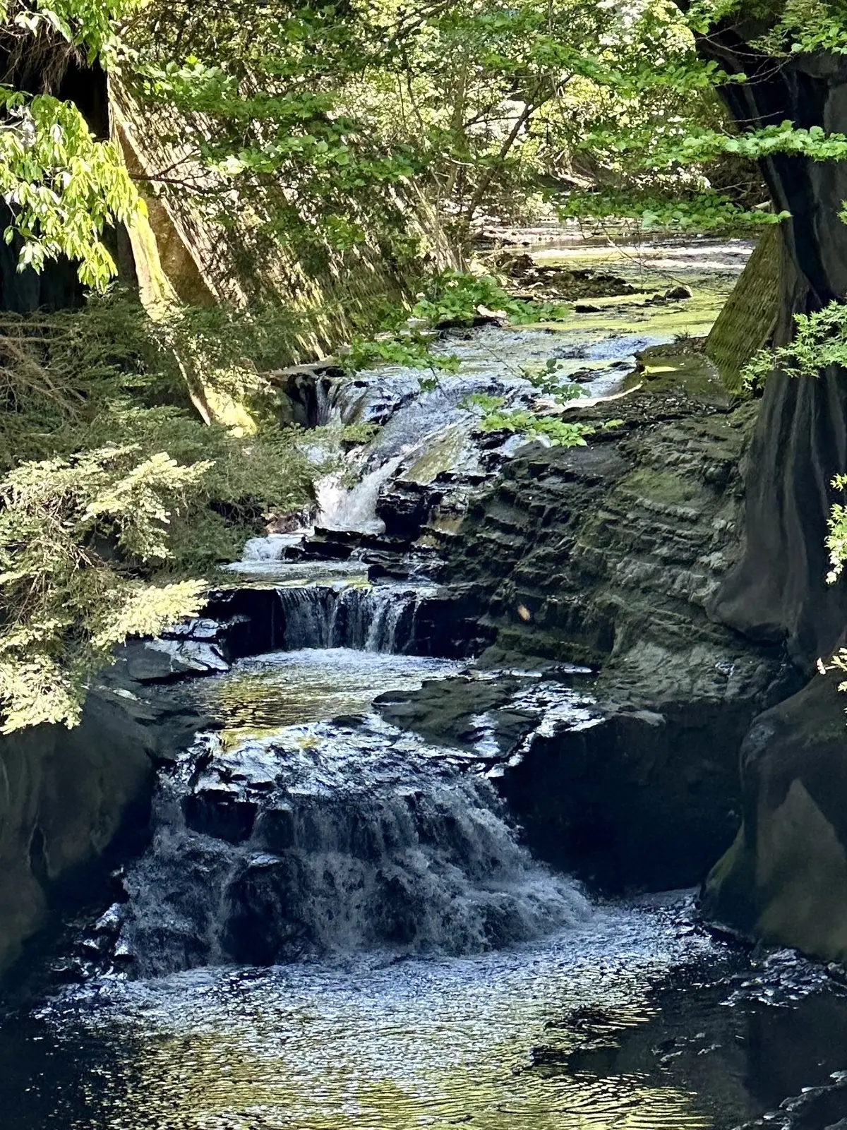 気軽におしゃれが楽しめるUNIQLOワンの画像_7