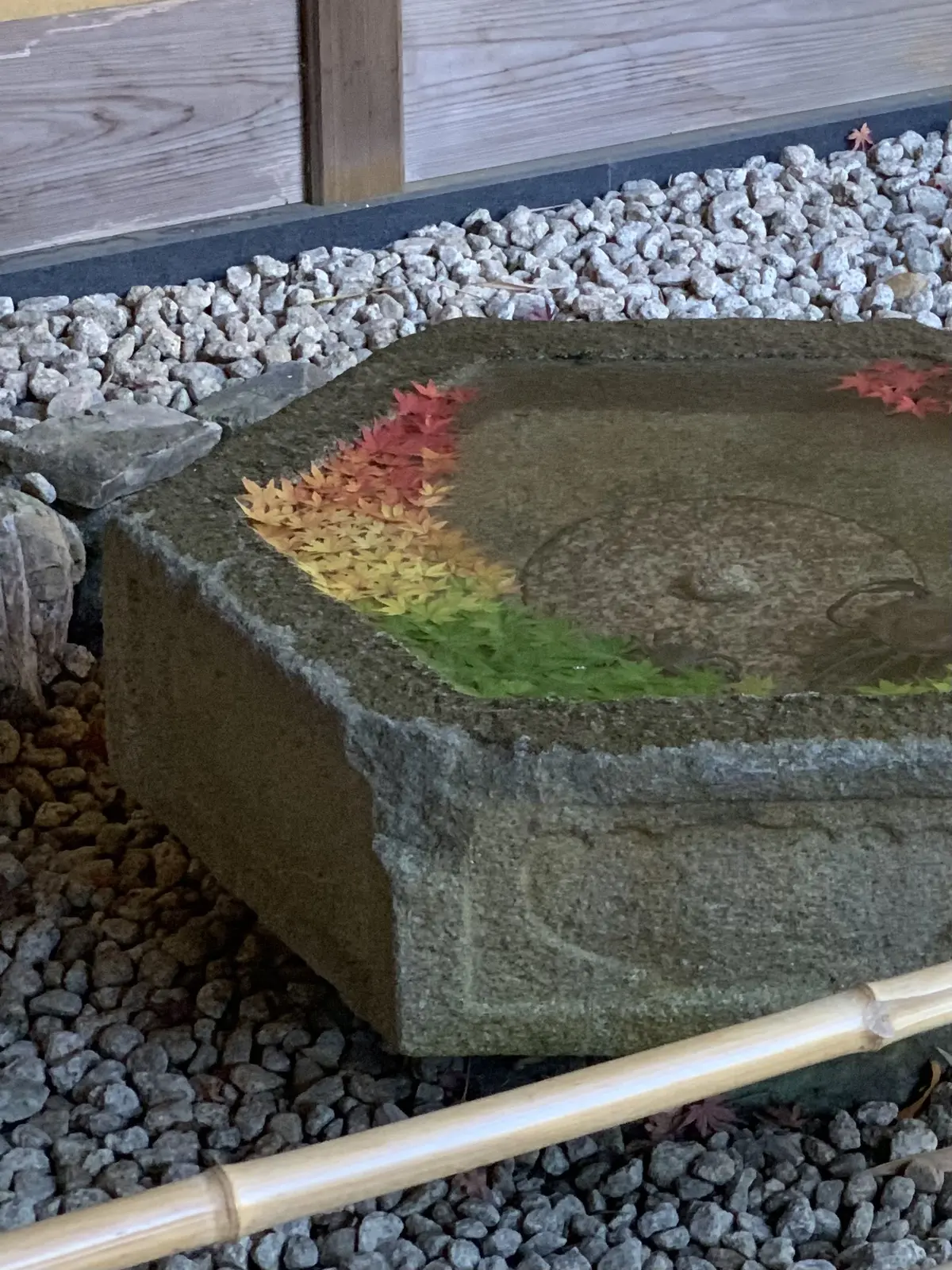 一条恵観山荘　紅葉　見頃　もみじ