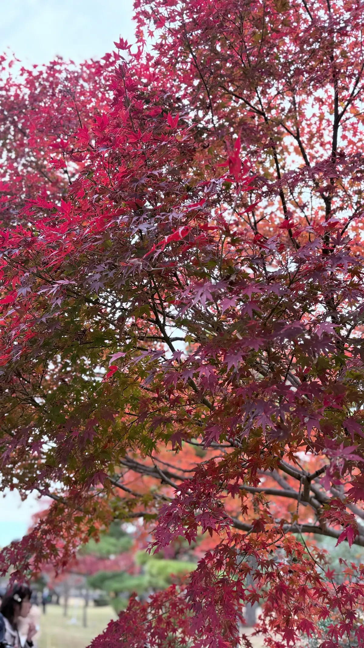 乾通り散策＊GUコーデの画像_3