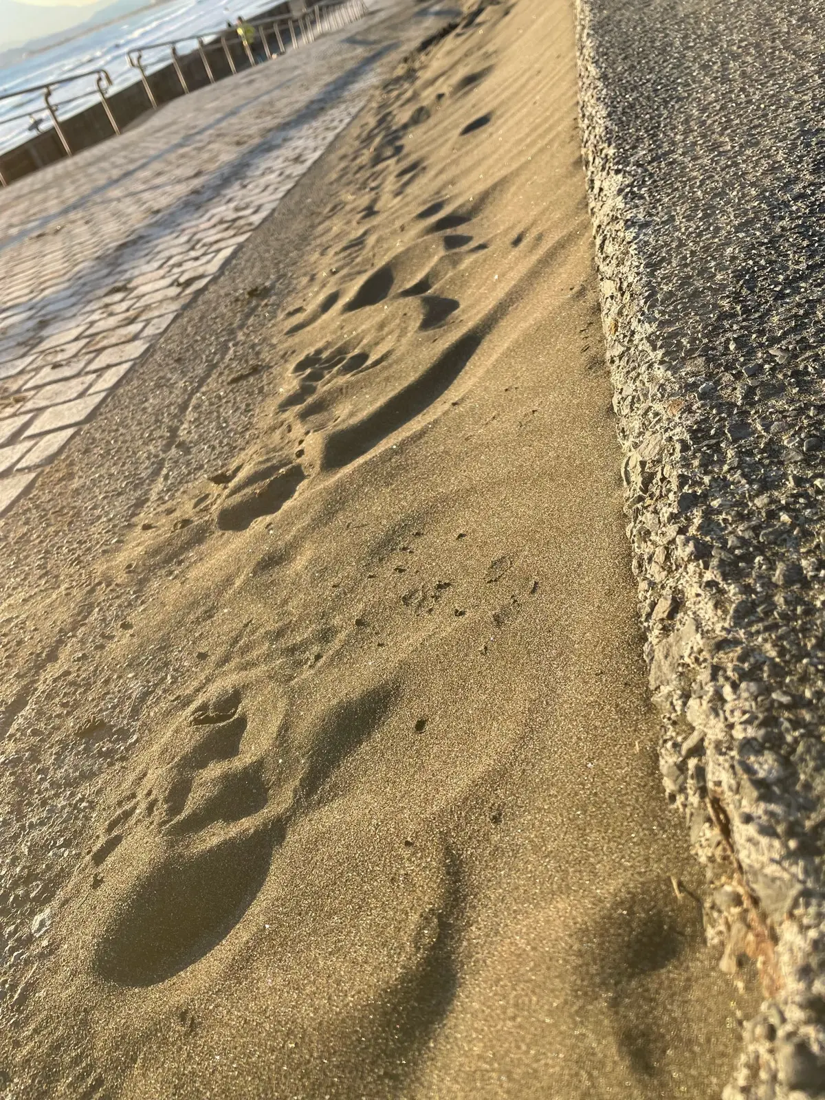 大変！年末年始の3kg増、どうしましょうの画像_2