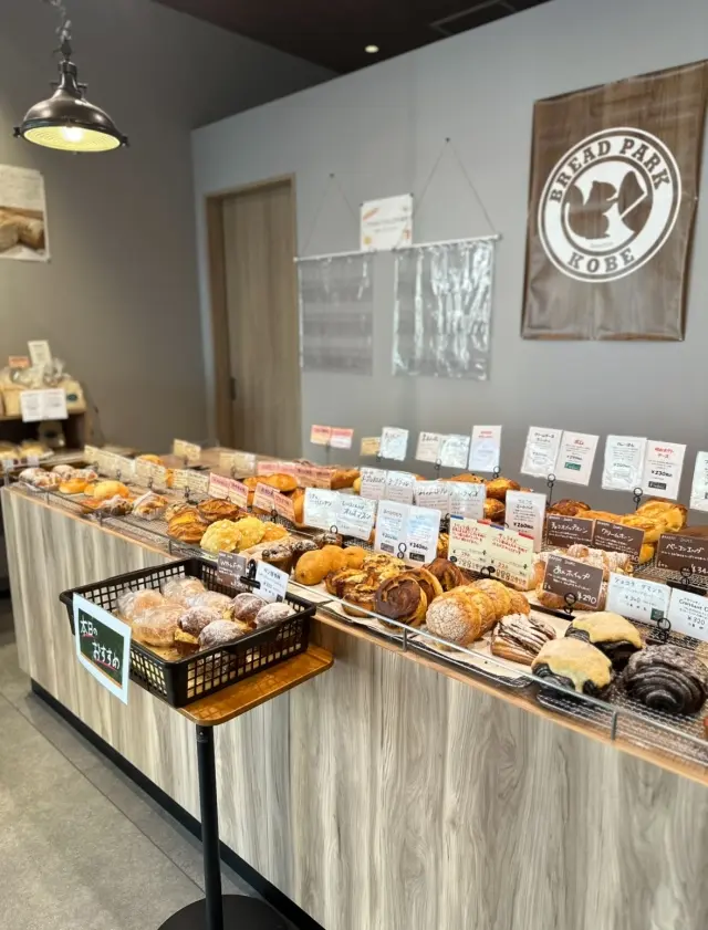 冬の風に吹かれて。の画像_4