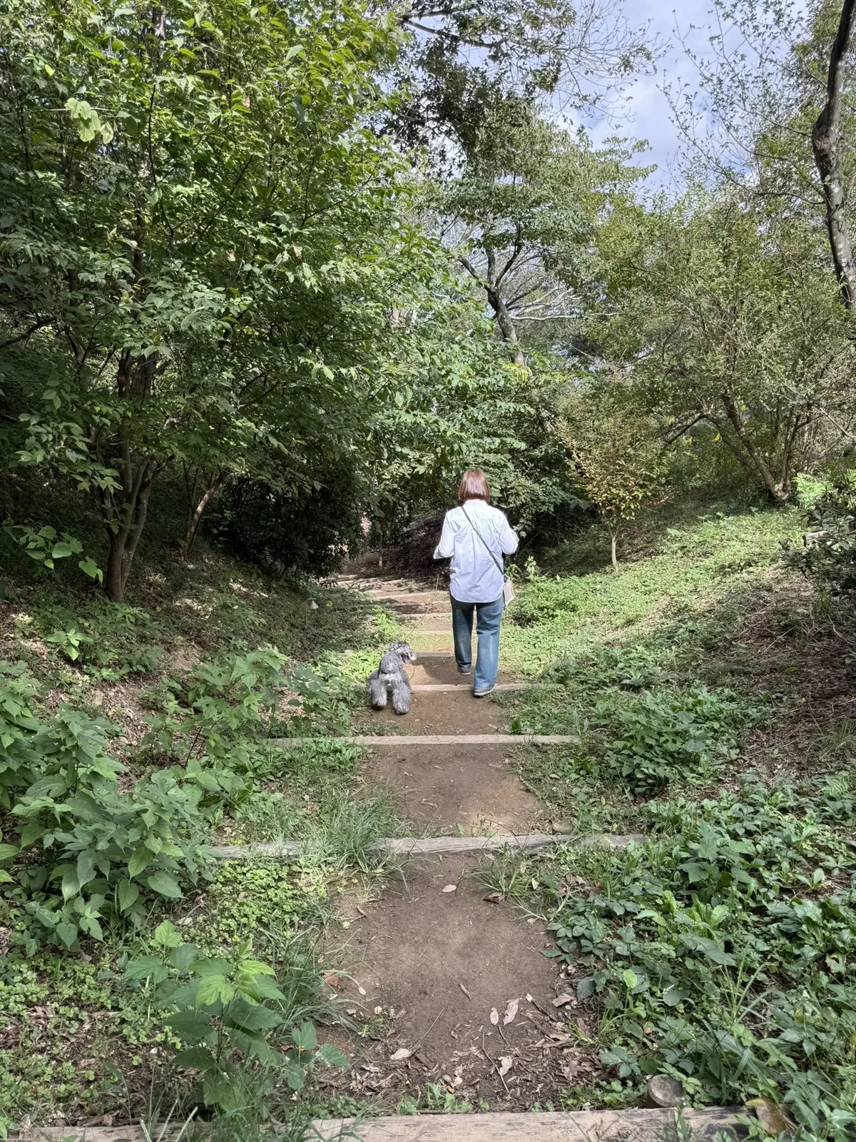 クルックフィールズ