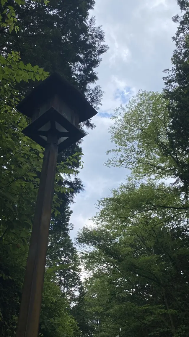 涼を求めて日光への画像_1