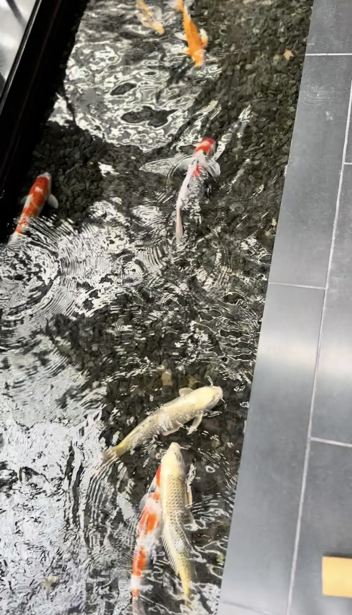 久しぶり！再会ワンピースはブラックで@ホの画像_3