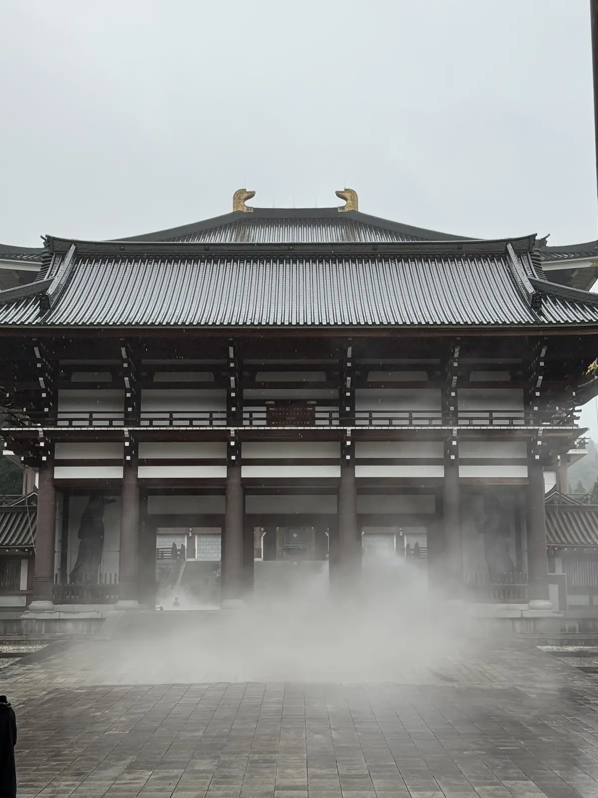 福井県の穴場観光スポット。スケールに圧倒の画像_20