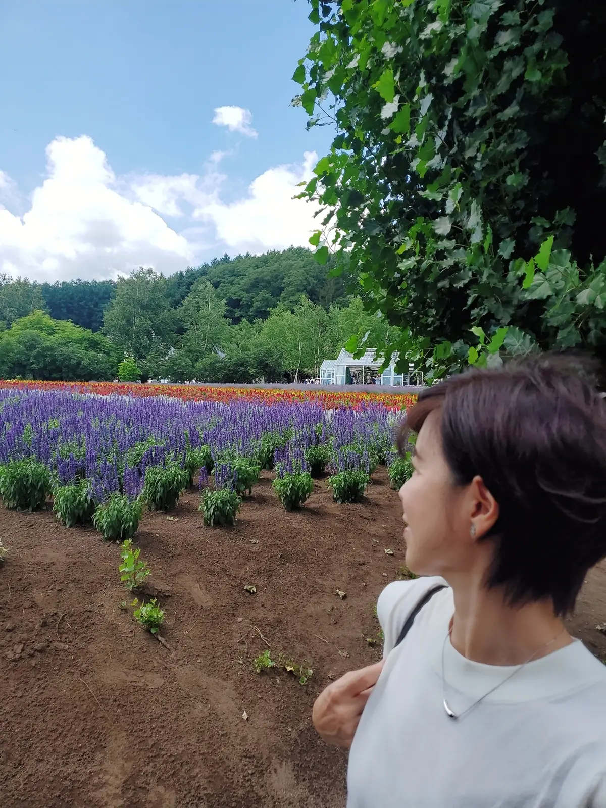 ほんのり香るラベンダーのいい香り