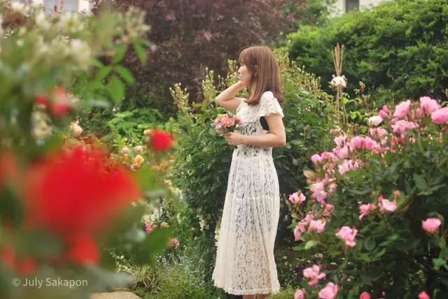誰でもバラ姫☆@港の見える丘公園の画像_1
