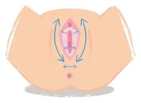 OurAge×Webエクラ  膣マッサージ