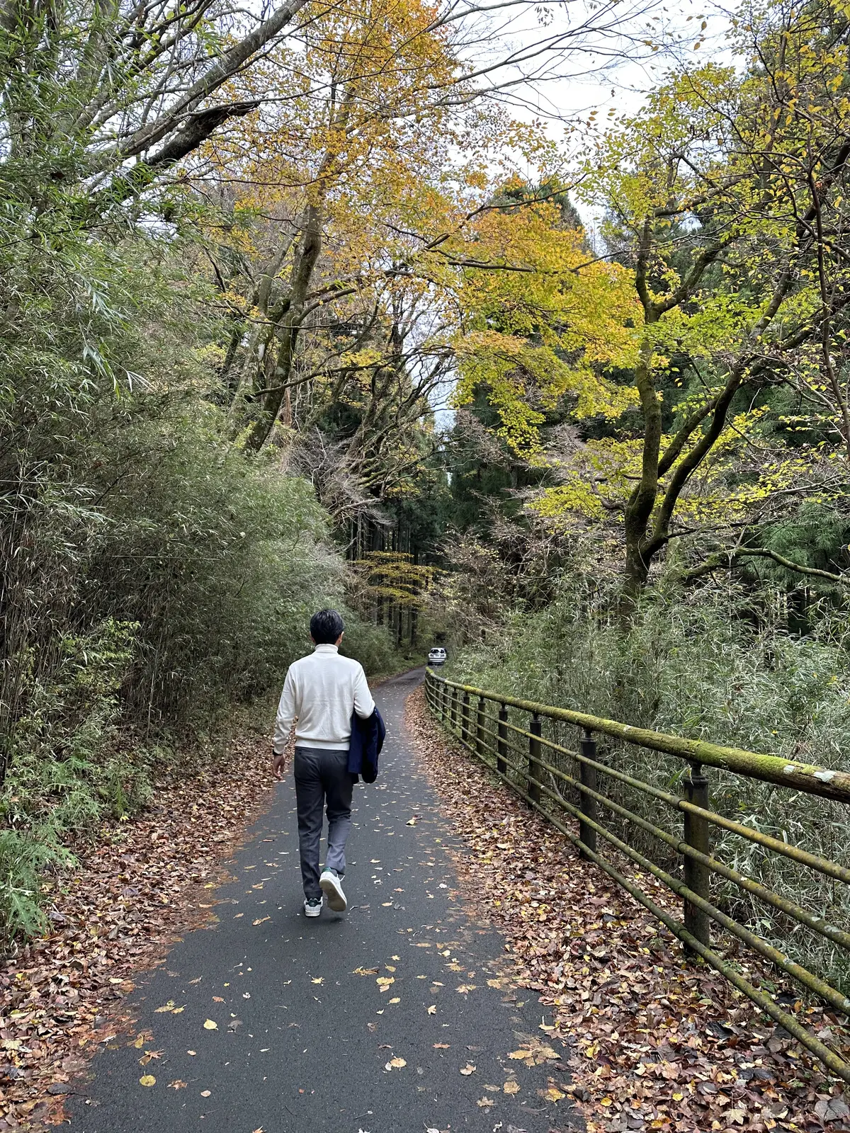 初めての箱根で行きたかったところ【箱根のの画像_3