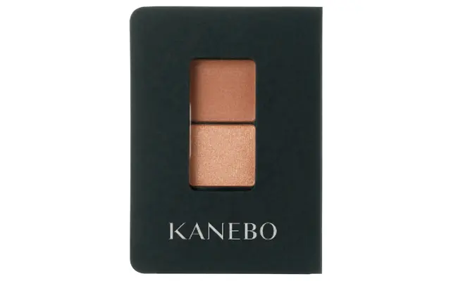 カネボウ アイカラーデュオ EX5（限定色）