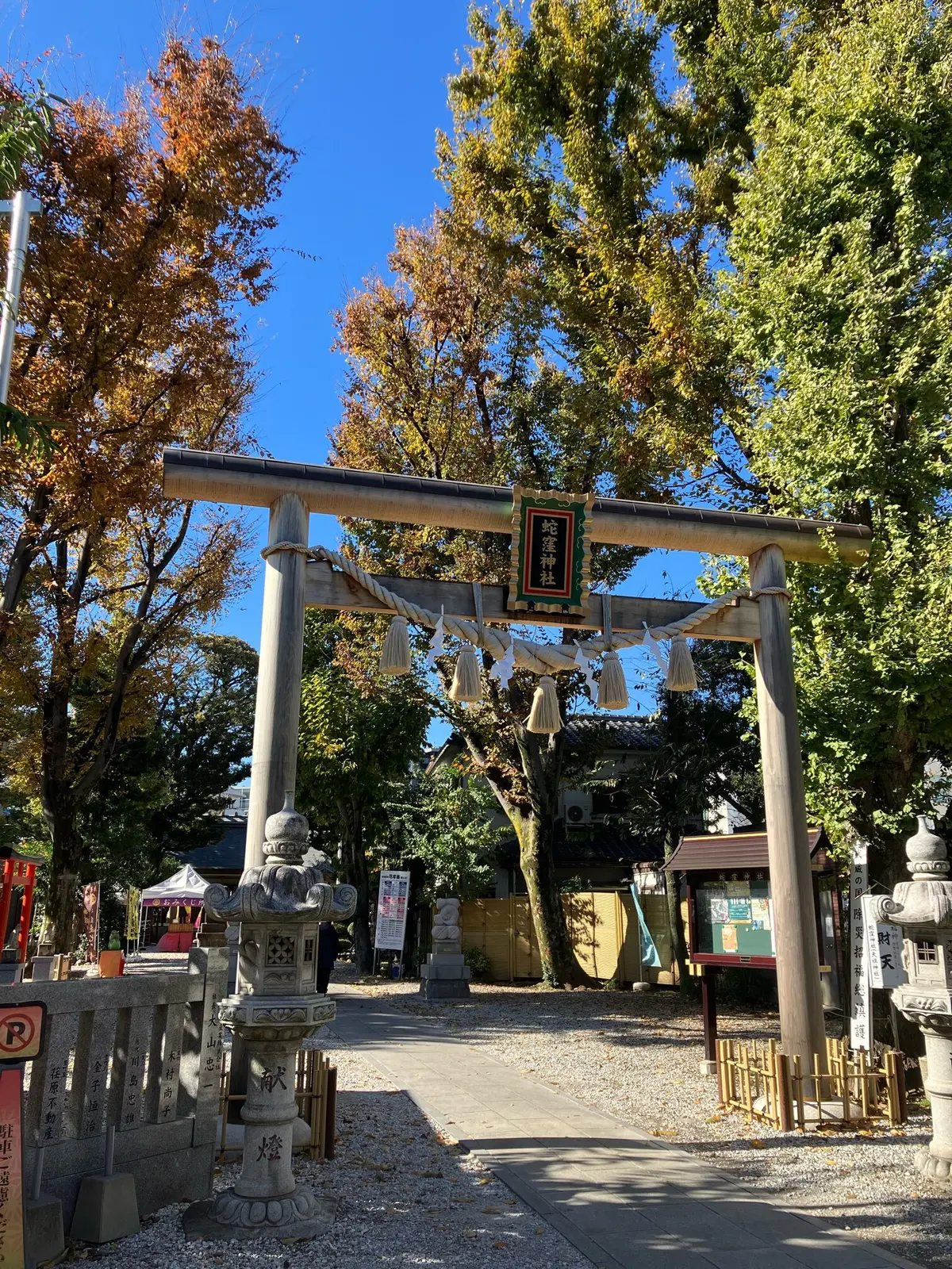 蛇窪神社　初詣　巳年　白蛇様　御朱印　御朱印帳　御朱印袋　Afternoon Tea パワースポット　一粒万倍　東京の蛇神様　jマダム 