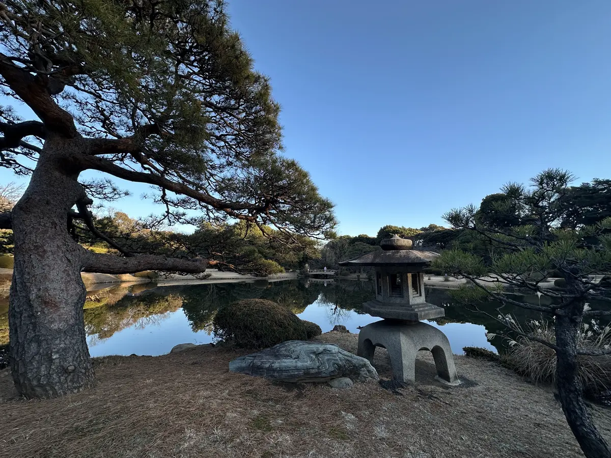 新宿御苑　都内　新宿　散策　自然　花　ビル　庭園　日本庭園