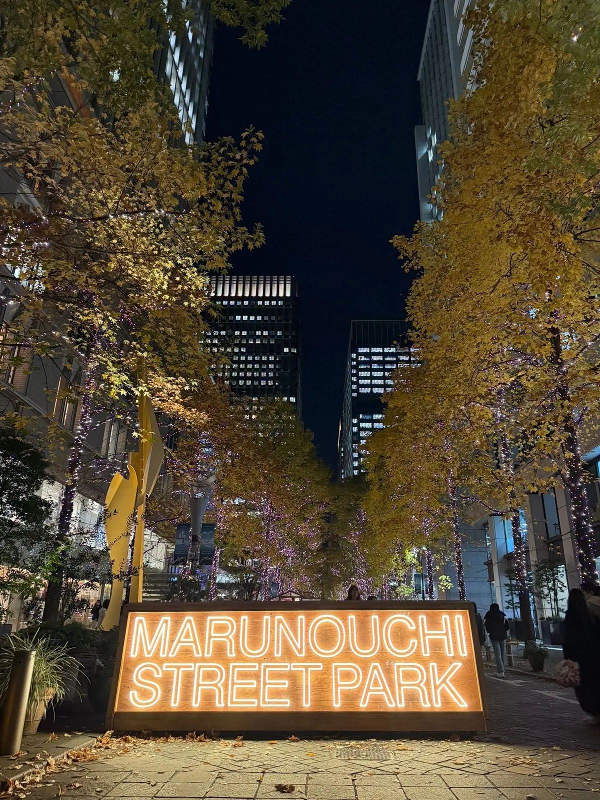 会いにきたよ〜♡弾丸日帰り東京へ@パレスの画像_14